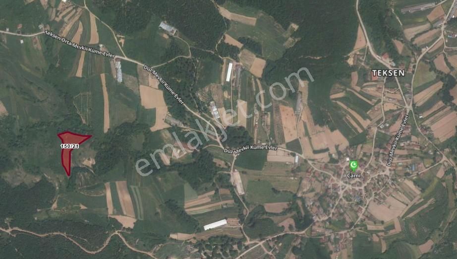 Tarcanlardan Kandırada Fırsat Tarla - Görsel 2