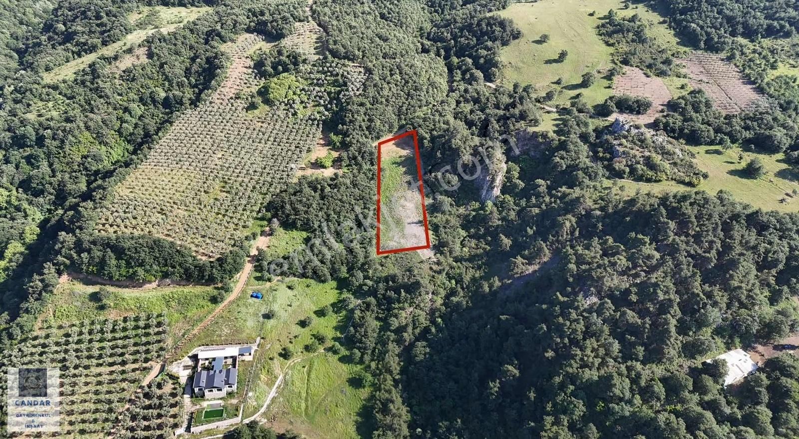 İznik Göllüce Mahallesinde Göl Manzaralı Satılık Tarla - Görsel 7