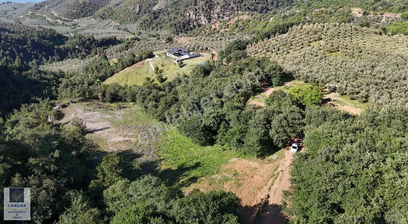 İznik Göllüce Mahallesinde Göl Manzaralı Satılık Tarla - Görsel 4