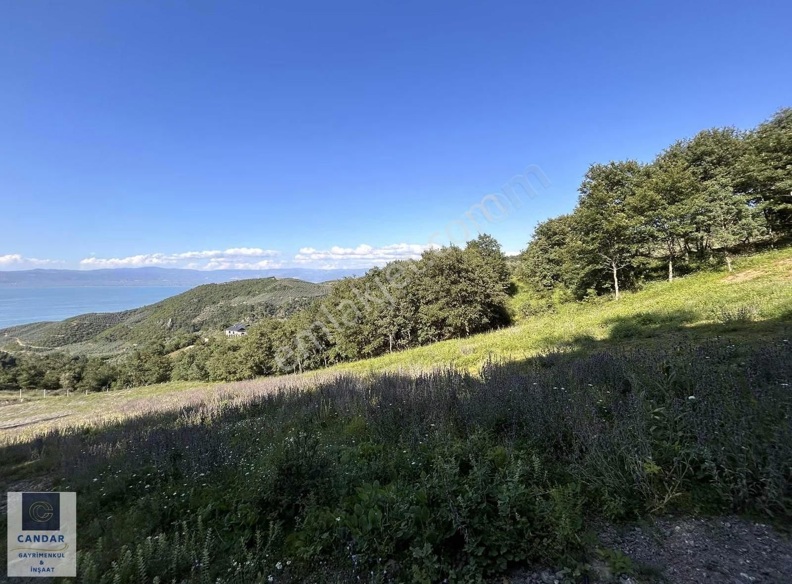 İznik Göllüce Mahallesinde Göl Manzaralı Satılık Tarla - Görsel 9