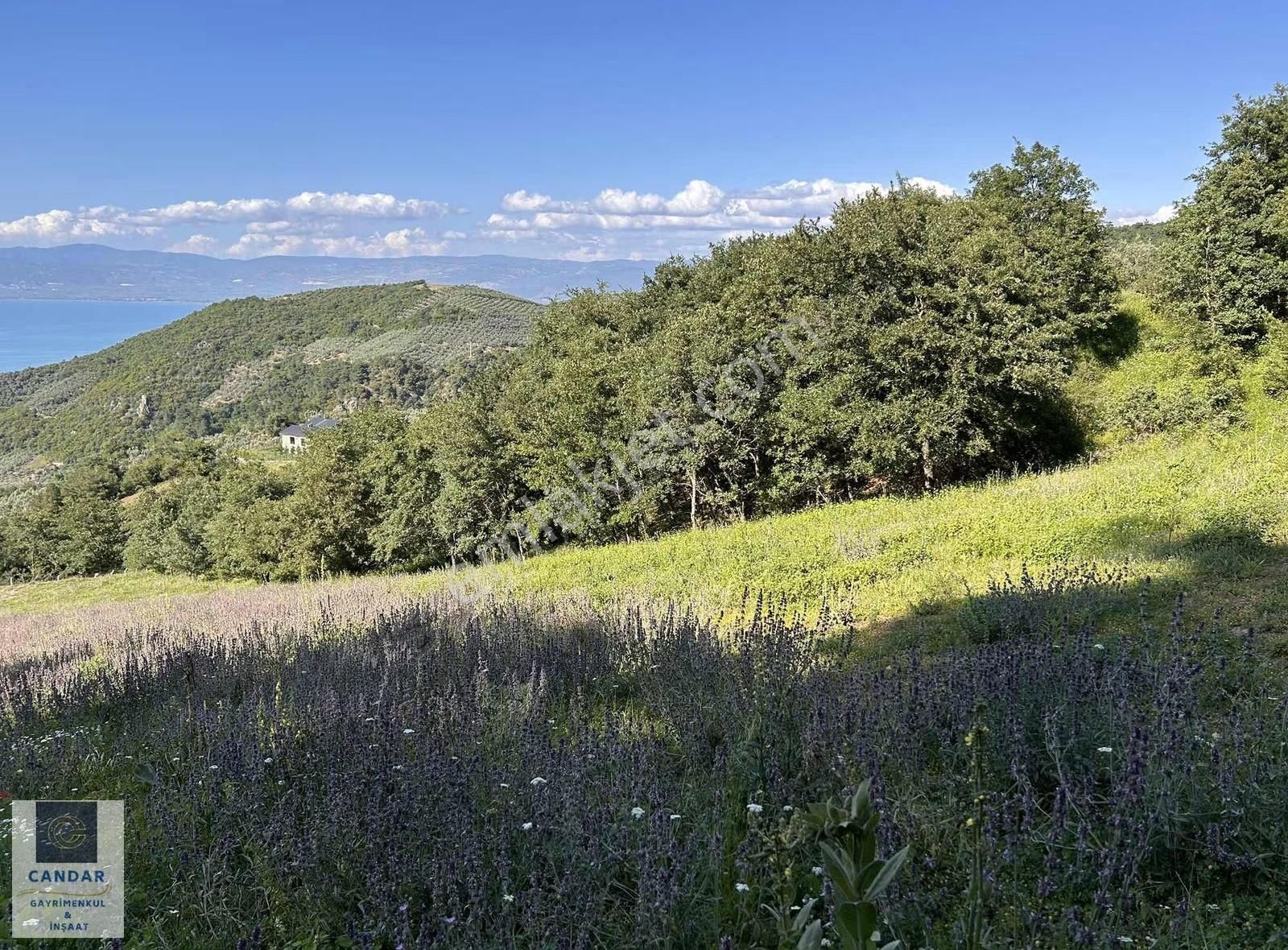 İznik Göllüce Mahallesinde Göl Manzaralı Satılık Tarla - Görsel 10