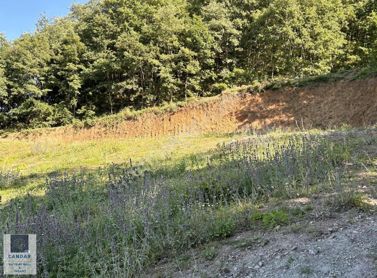 İznik Göllüce Mahallesinde Göl Manzaralı Satılık Tarla - Görsel 25