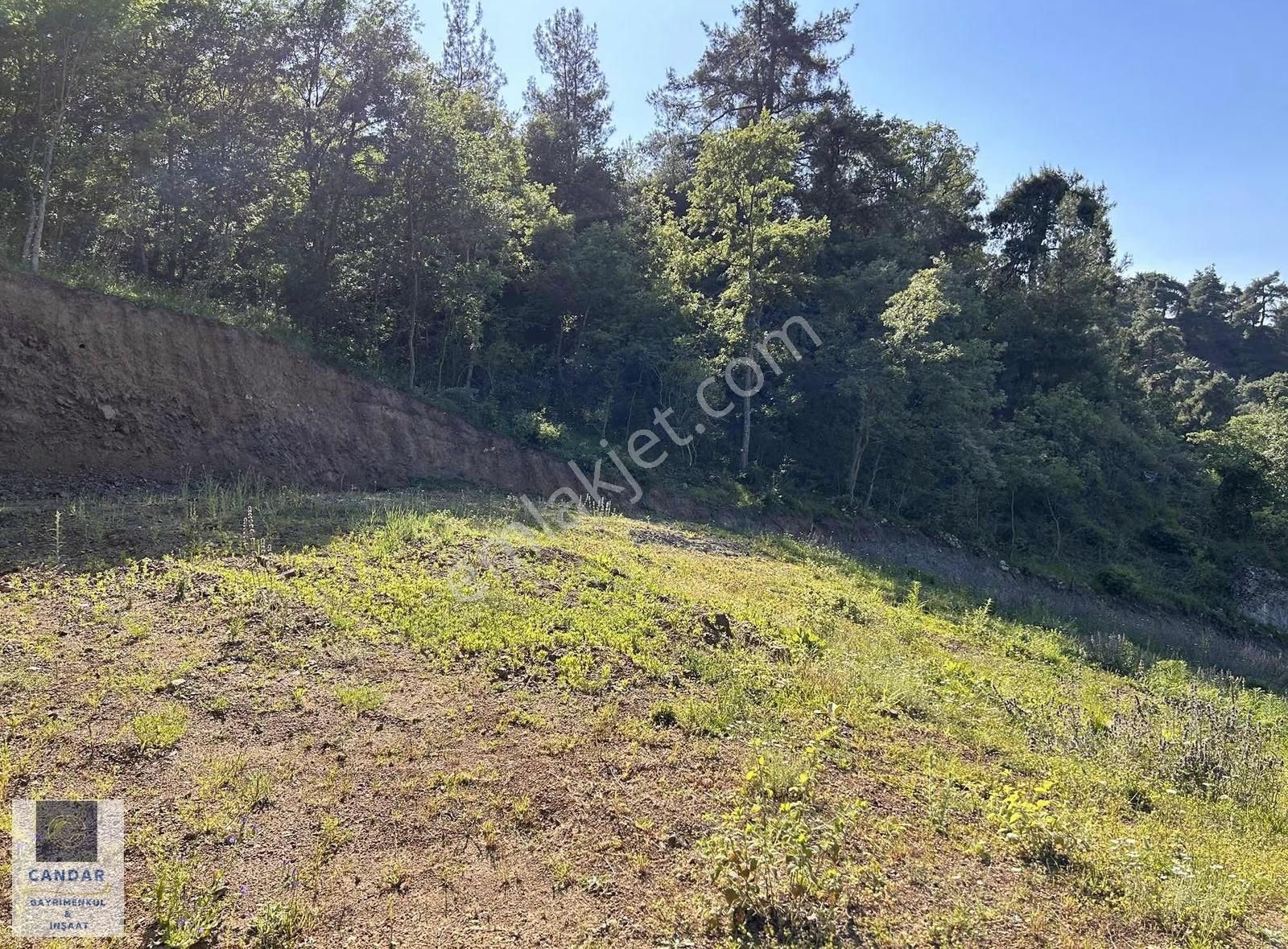 İznik Göllüce Mahallesinde Göl Manzaralı Satılık Tarla - Görsel 32