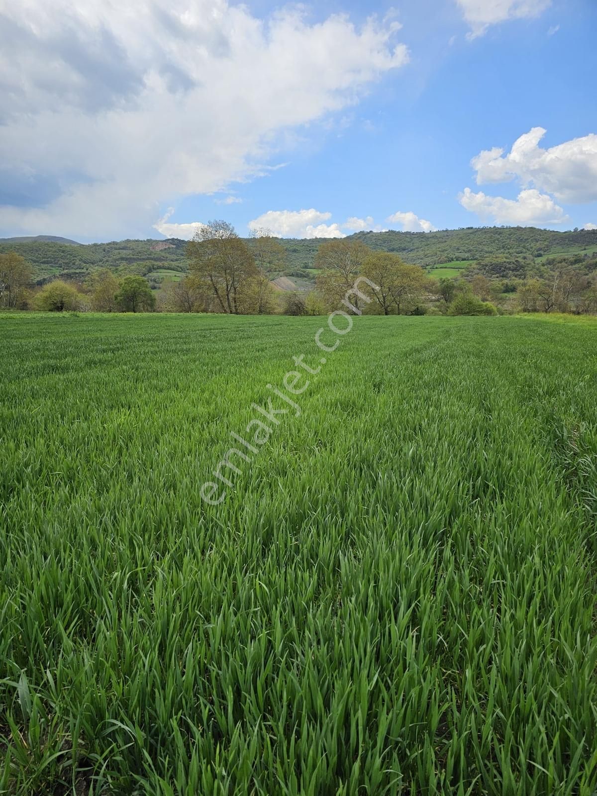 Çanakkale Biga Bakacakçiftliği Nde Satılık Tarla