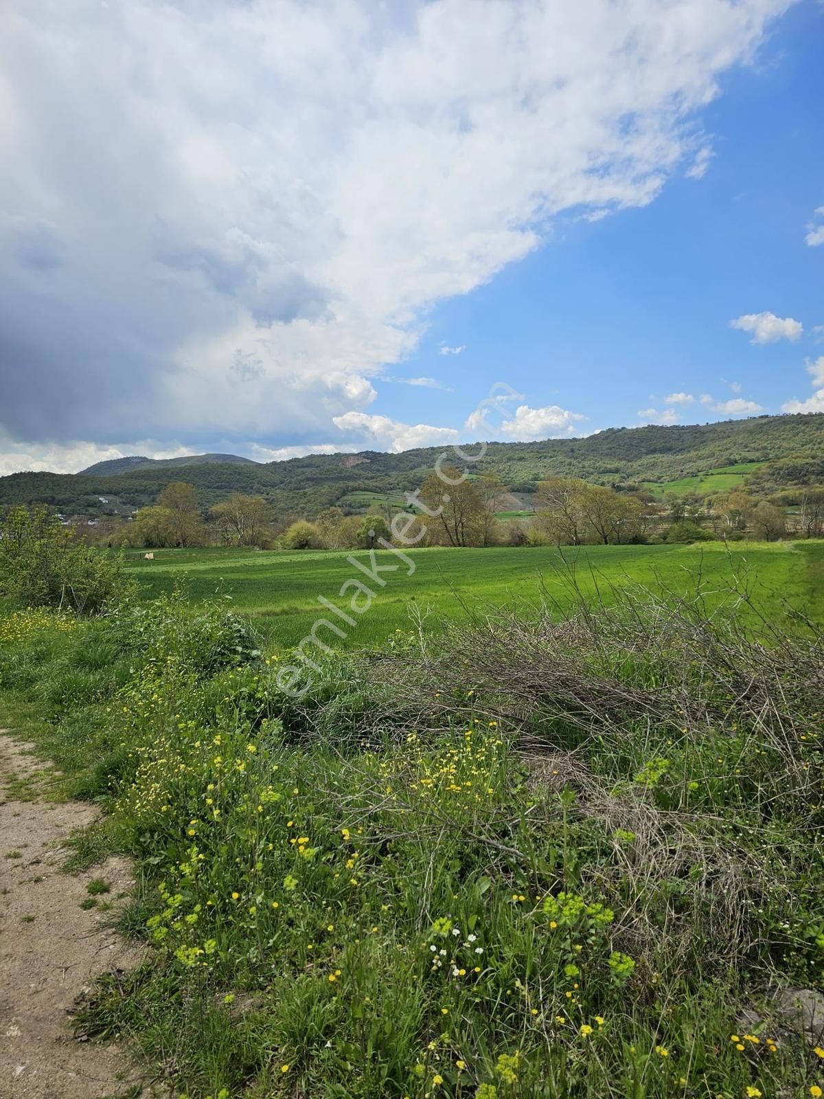 Çanakkale Biga Bakacakçiftliği Nde Satılık Tarla - Görsel 10