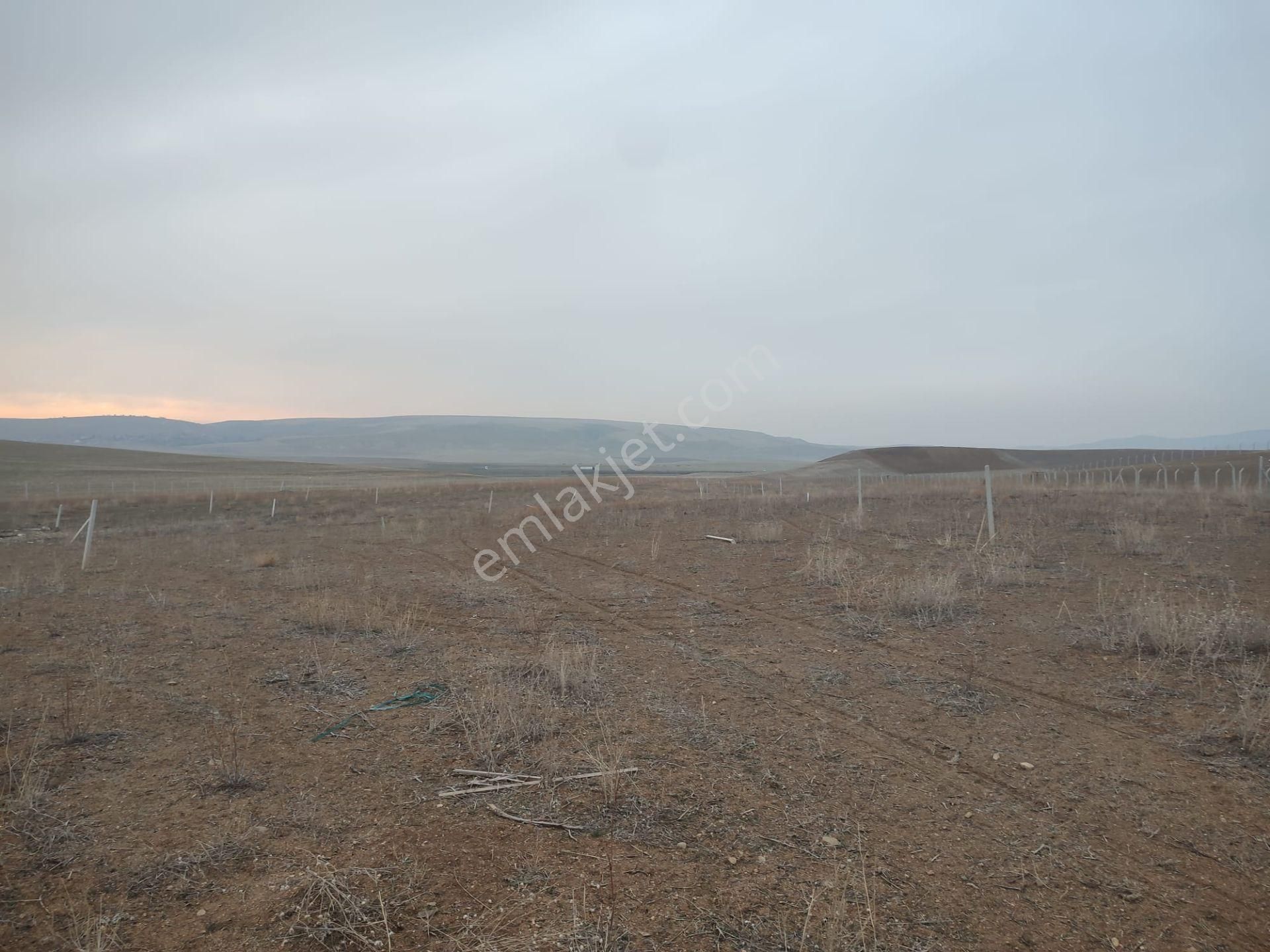 Ankara Bala Ahmet Çayırı Satılık 7000 Metrekare Yatırımlık Arazi - Görsel 10