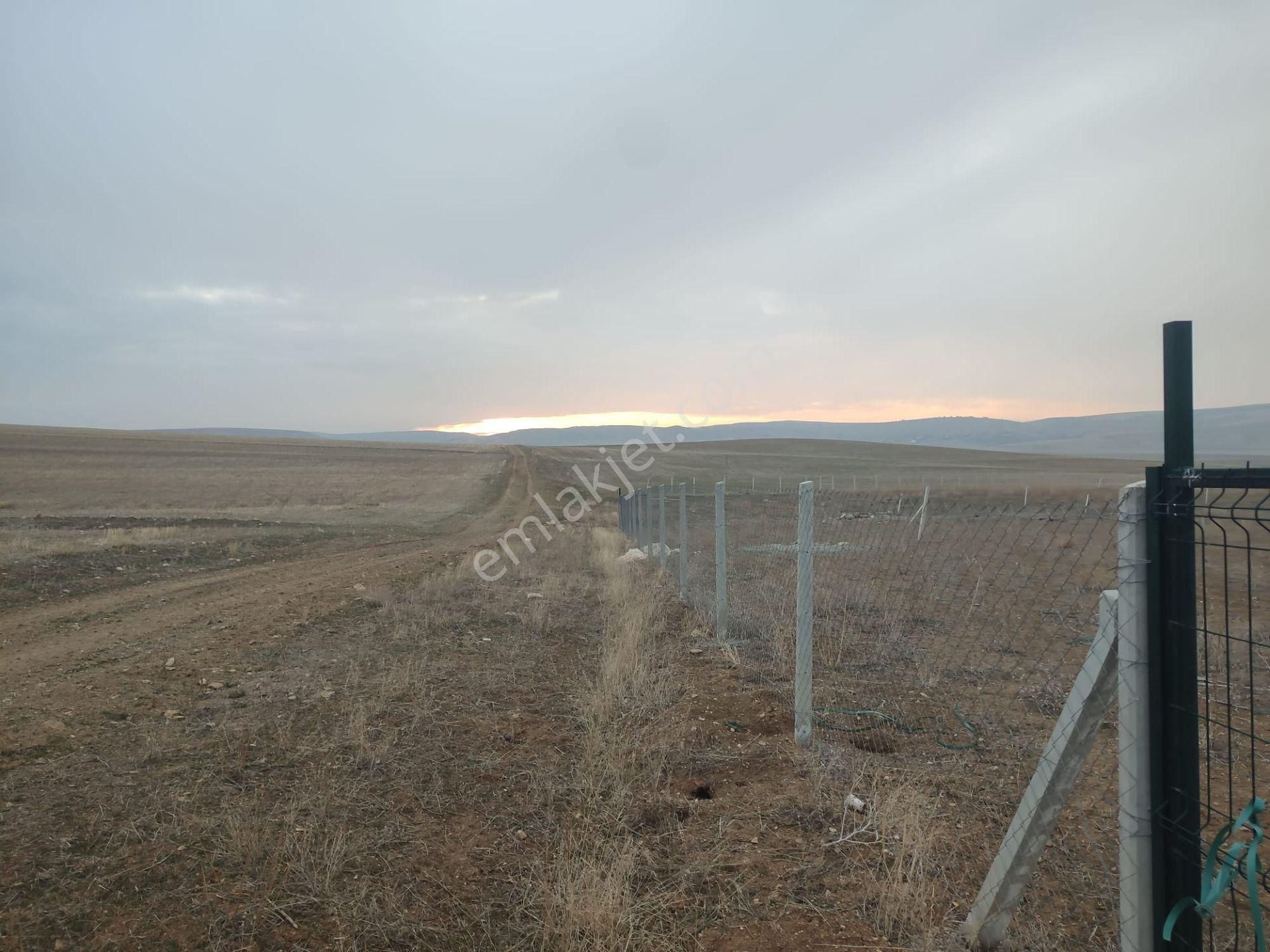 Ankara Bala Ahmet Çayırı Satılık 7000 Metrekare Yatırımlık Arazi - Görsel 5