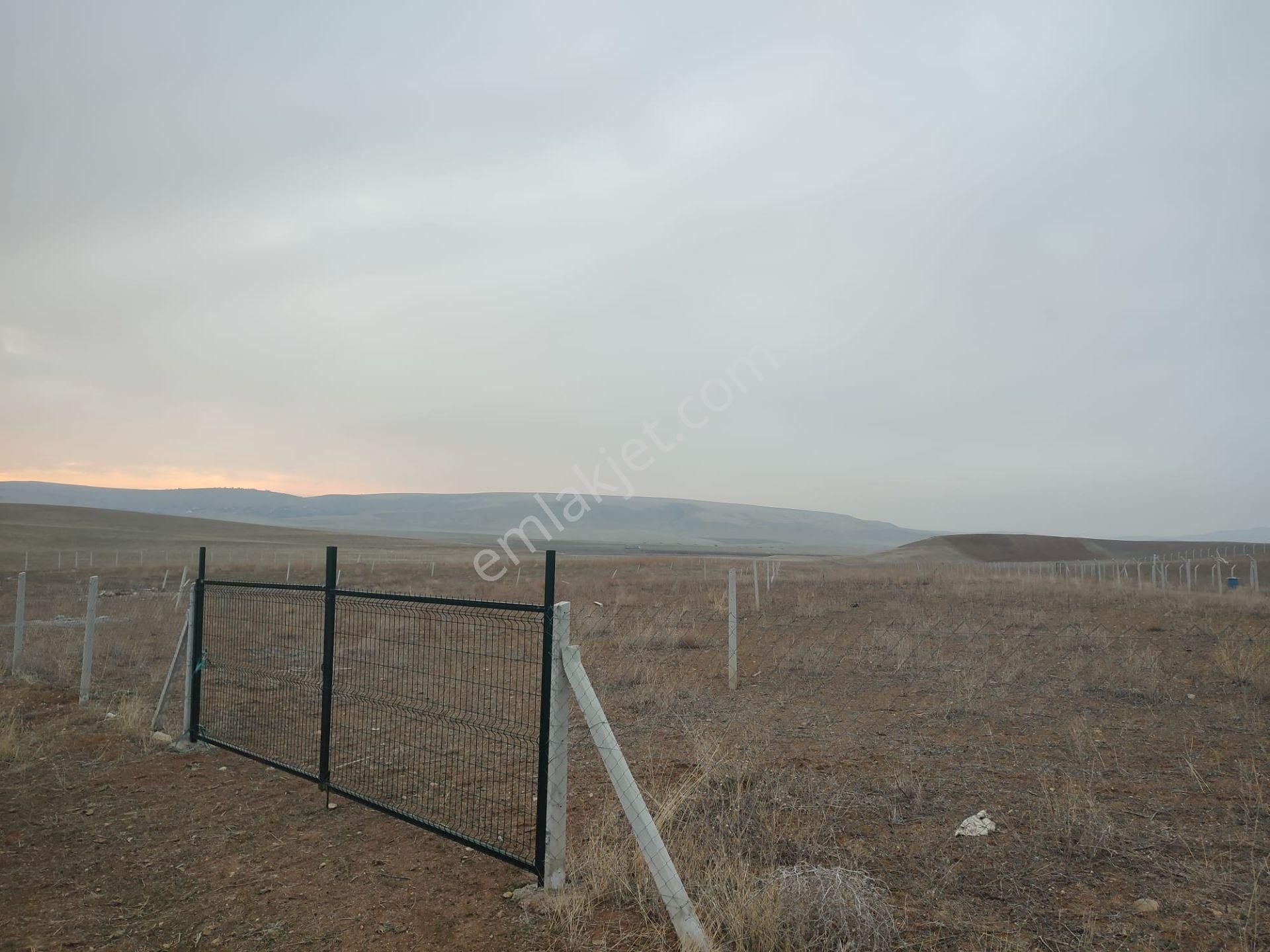 Ankara Bala Ahmet Çayırı Satılık 7000 Metrekare Yatırımlık Arazi - Görsel 8