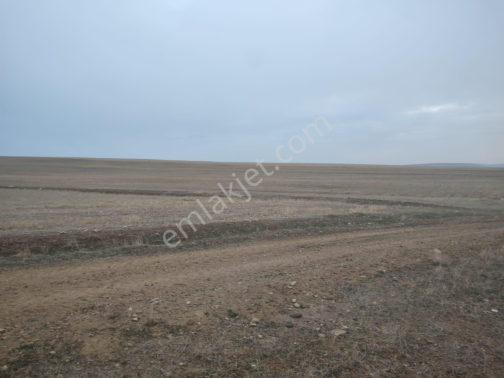 Ankara Bala Ahmet Çayırı Satılık 7000 Metrekare Yatırımlık Arazi - Görsel 6