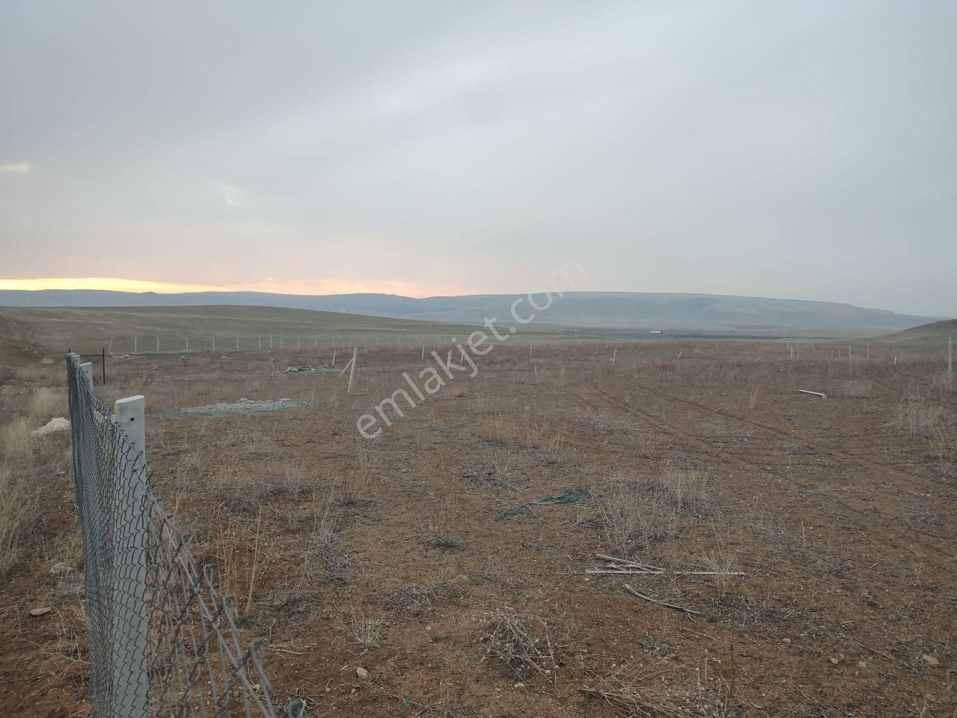 Ankara Bala Ahmet Çayırı Satılık 7000 Metrekare Yatırımlık Arazi - Görsel 4
