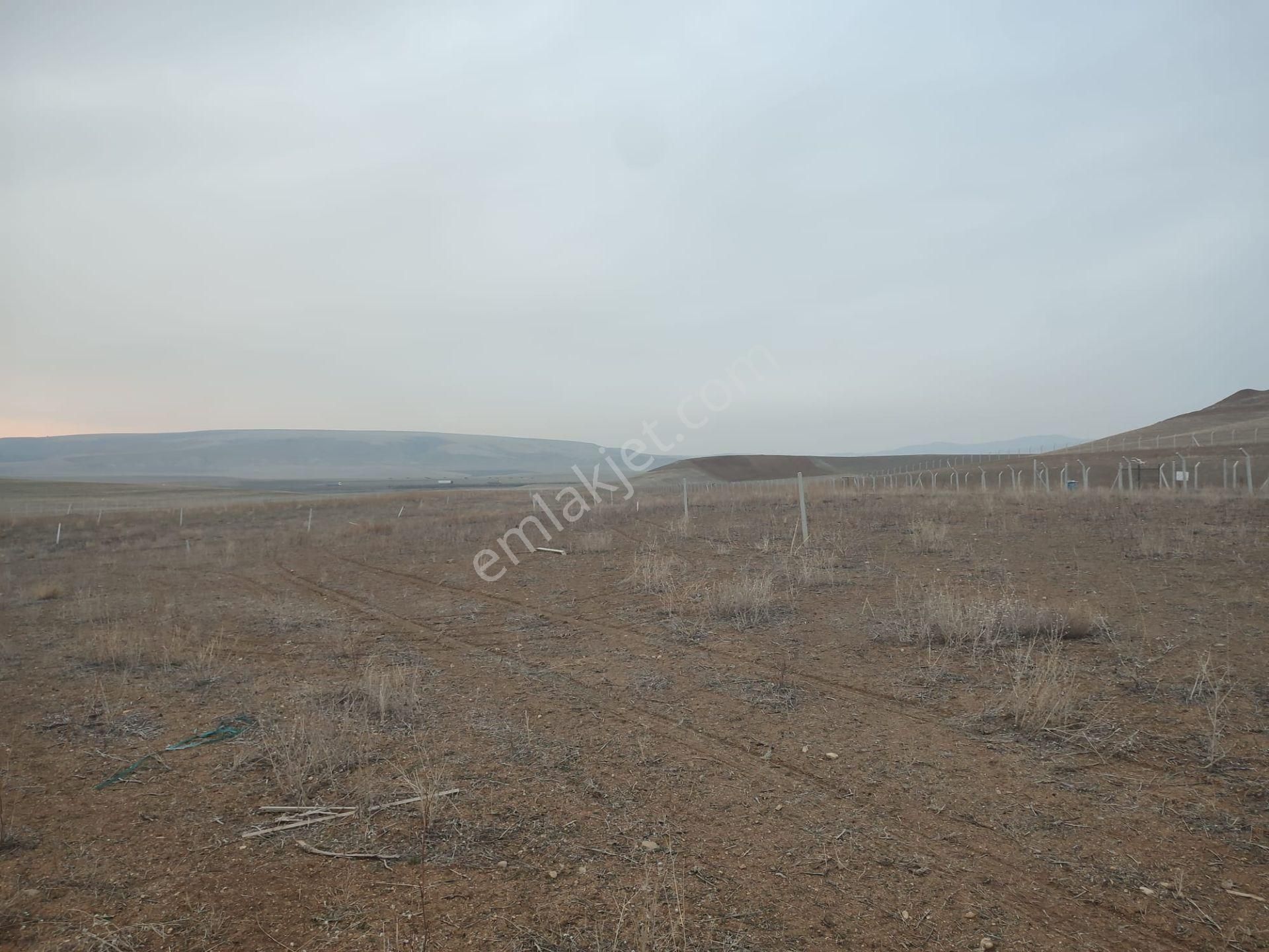 Ankara Bala Ahmet Çayırı Satılık 7000 Metrekare Yatırımlık Arazi - Görsel 11