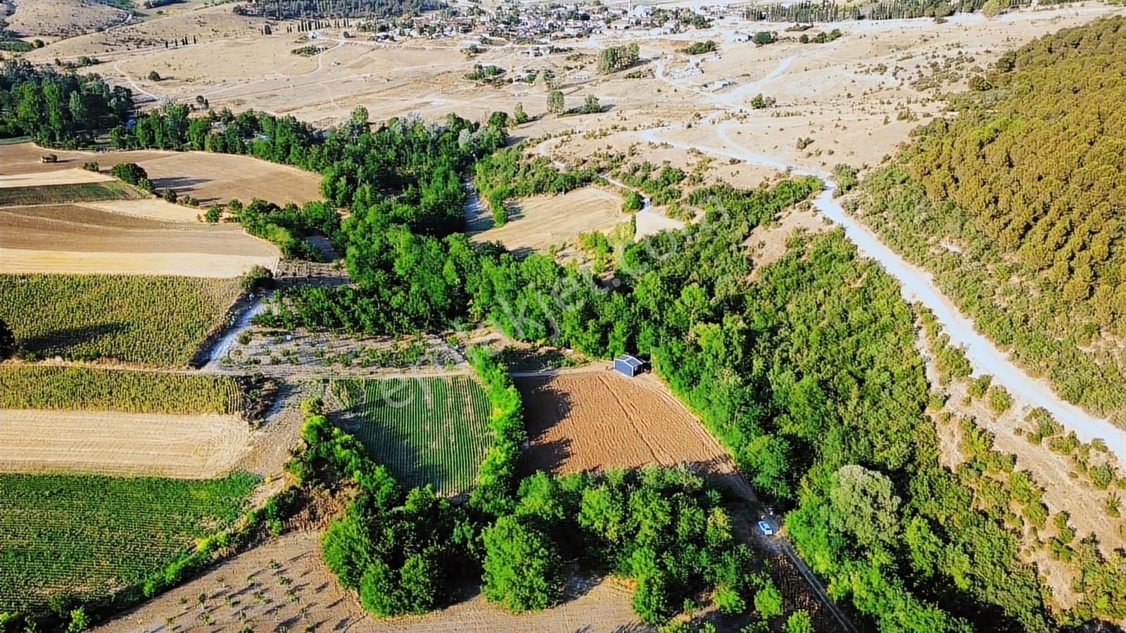 Dialog Prestij'den Satılık Tarla - 4.173 M² Yenişehir / Bursa - Görsel 3