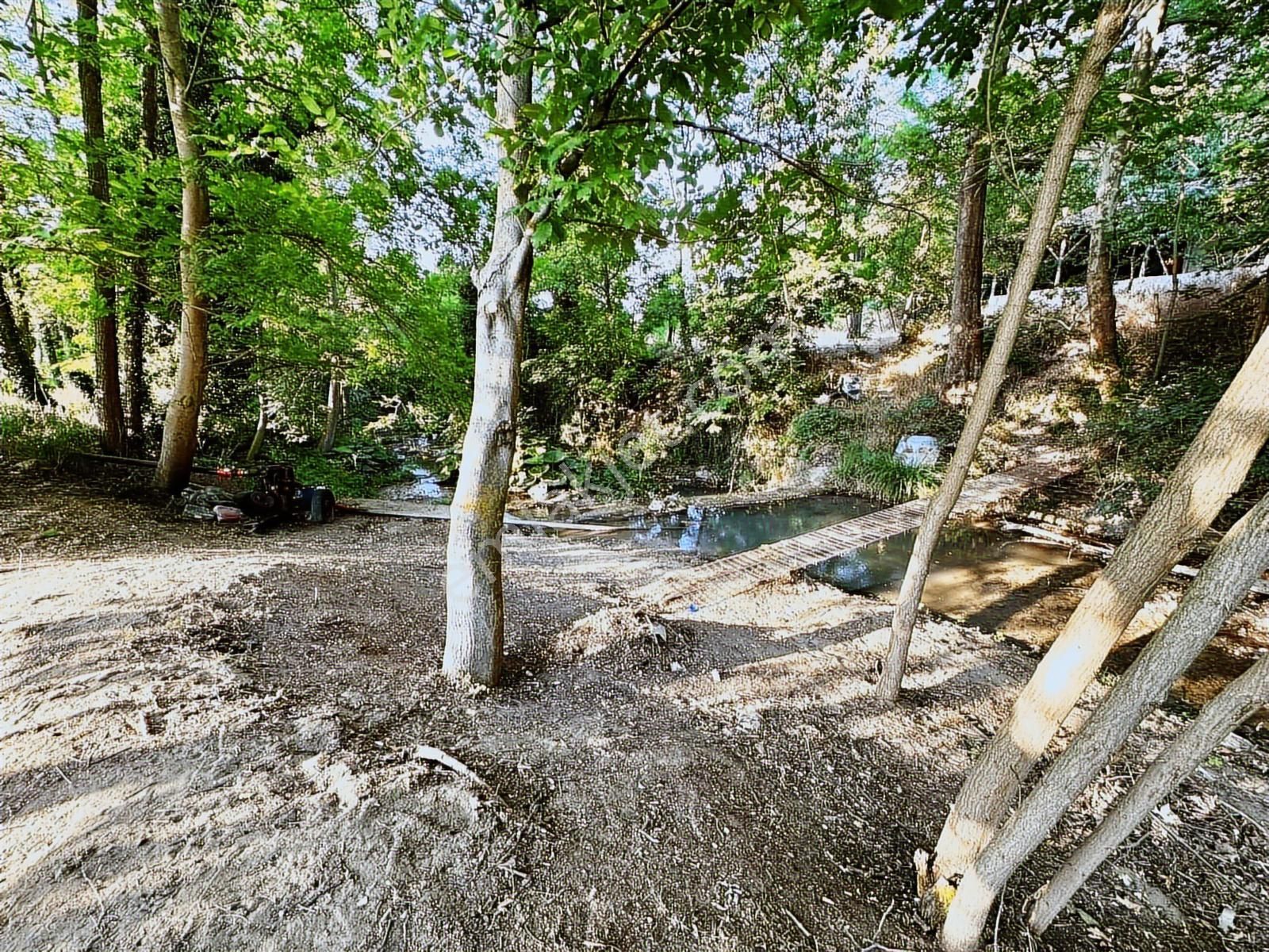 Dialog Prestij'den Satılık Tarla - 4.173 M² Yenişehir / Bursa - Görsel 10