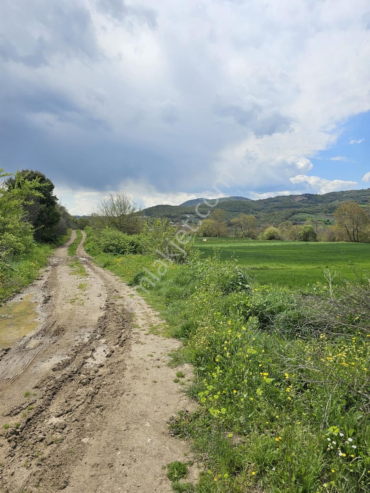 Çanakkale Biga Bakacakçiftliği Köyünde Satılık Tarla - Görsel 13