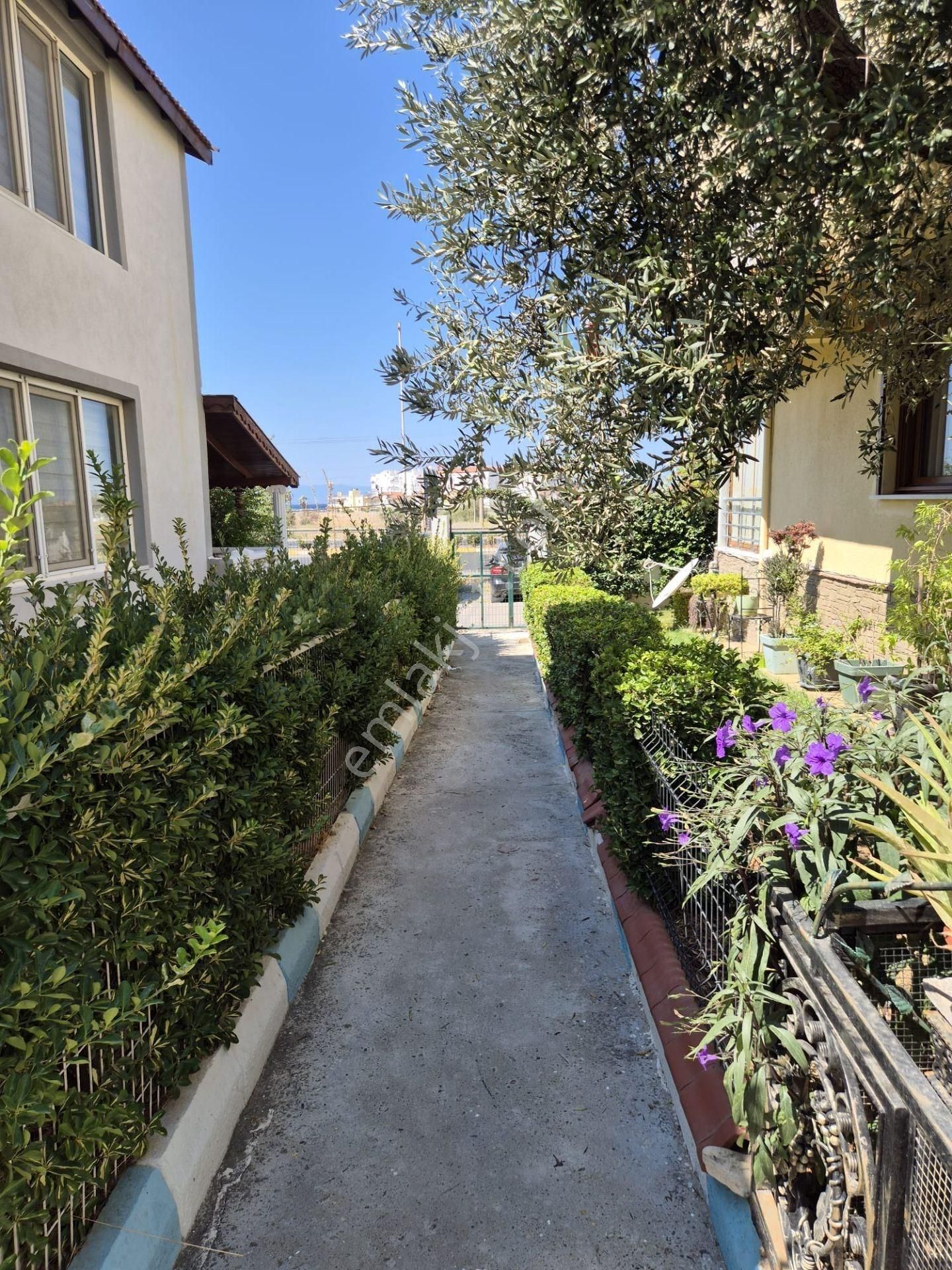 Ayvalık Bilenturda Konforlu Ve Deniz Manzaralı Müstakil Villa - Görsel 18