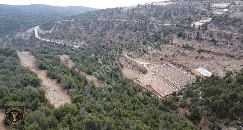 Erdemli Kızılen 1854 M2 Tek Tapu Satılık - Görsel 5