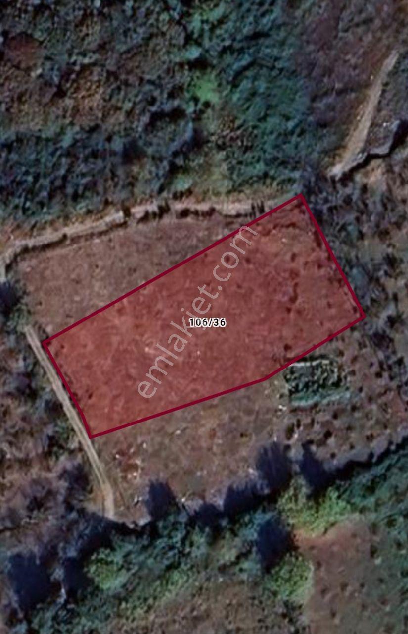 Düzce Akçakoca'da İmarlı Müstakil Tapulu Satılık Arsa - Görsel 2