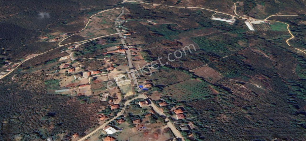 Düzce Akçakoca'da İmarlı Müstakil Tapulu Satılık Arsa - Görsel 13