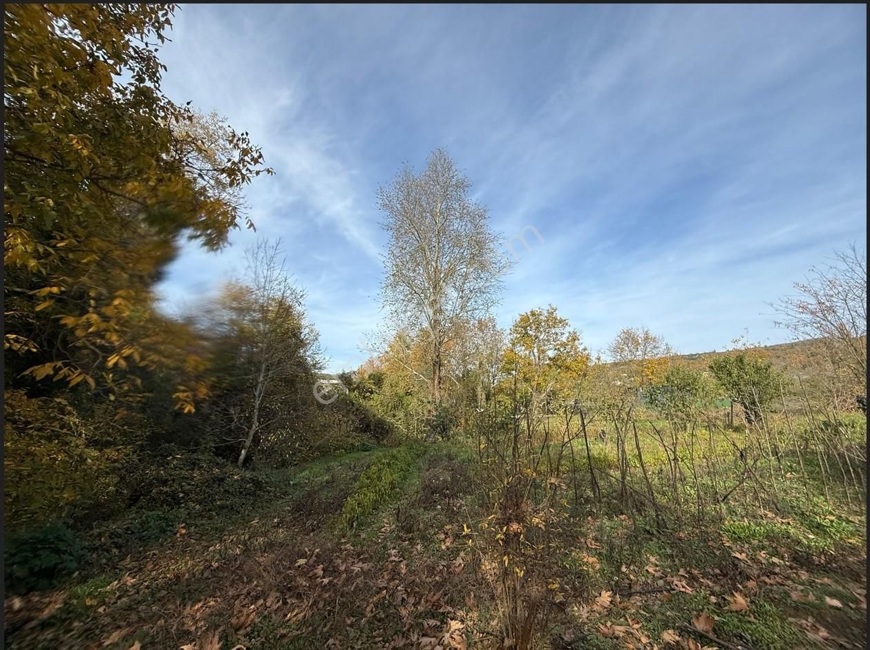 Bursa/nilufer/inegazi Köyünde-1054 M² - Görsel 14