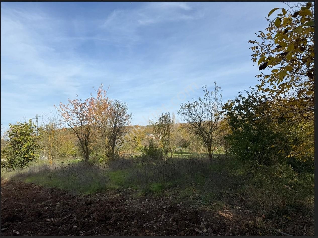 Bursa/nilufer/inegazi Köyünde-1054 M² - Görsel 5