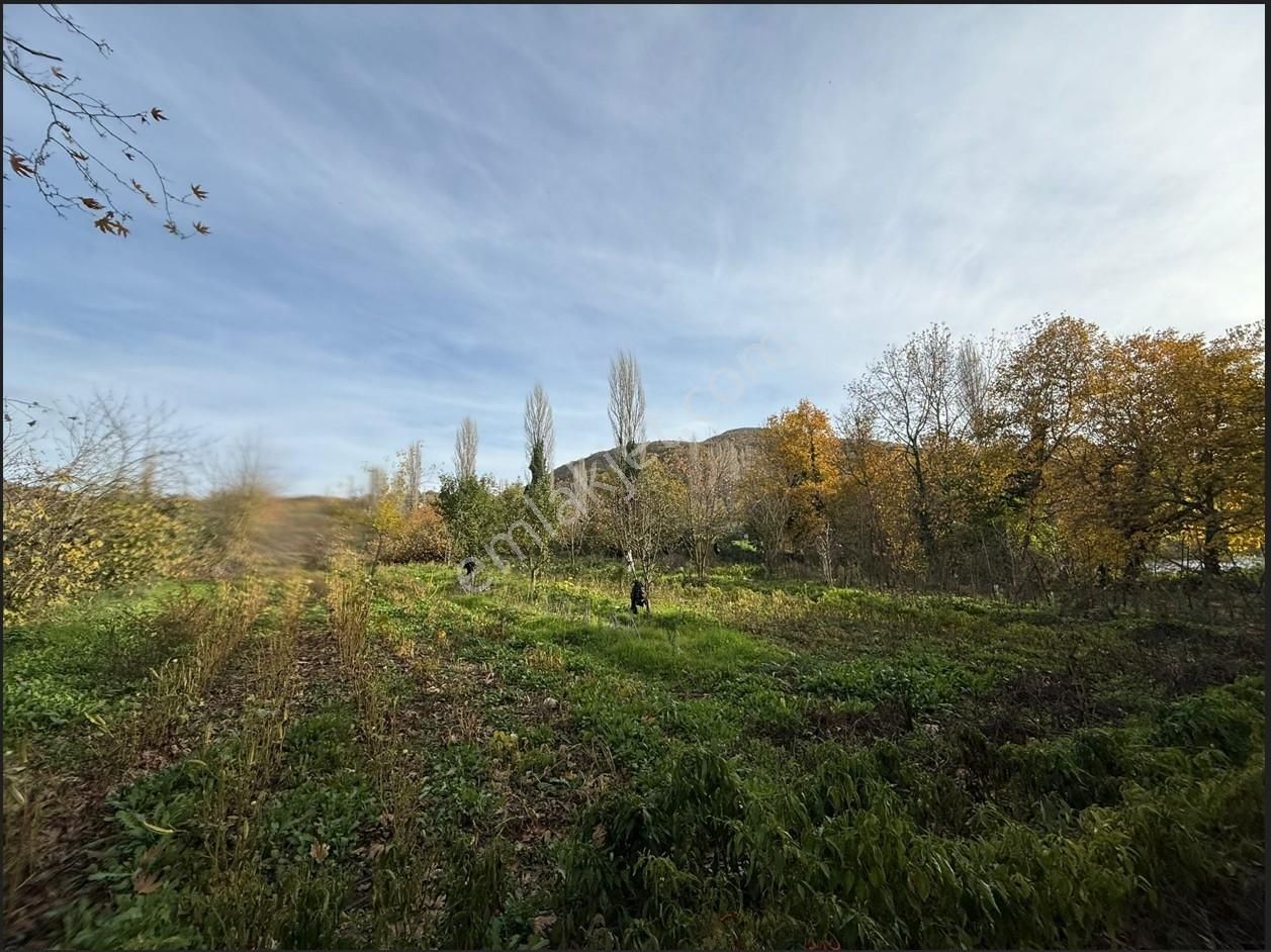 Bursa/nilufer/inegazi Köyünde-1054 M² - Görsel 13