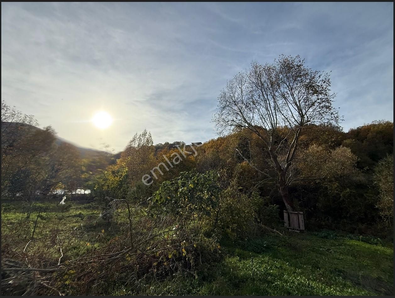 Bursa/nilufer/inegazi Köyünde-1054 M² - Görsel 18