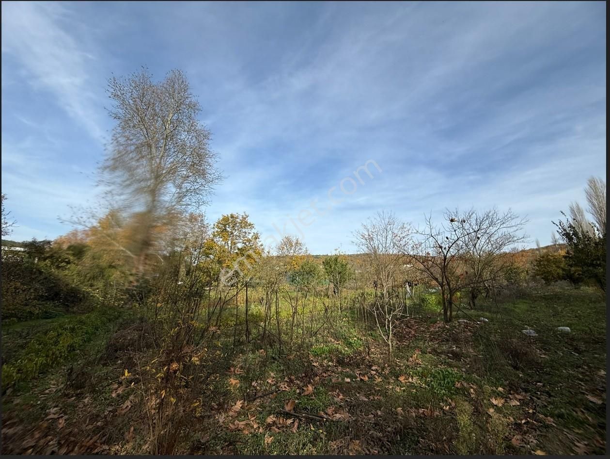 Bursa/nilufer/inegazi Köyünde-1054 M² - Görsel 16