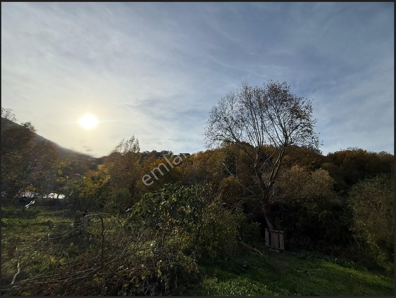 Bursa/nilufer/inegazi Köyünde-1054 M² - Görsel 21
