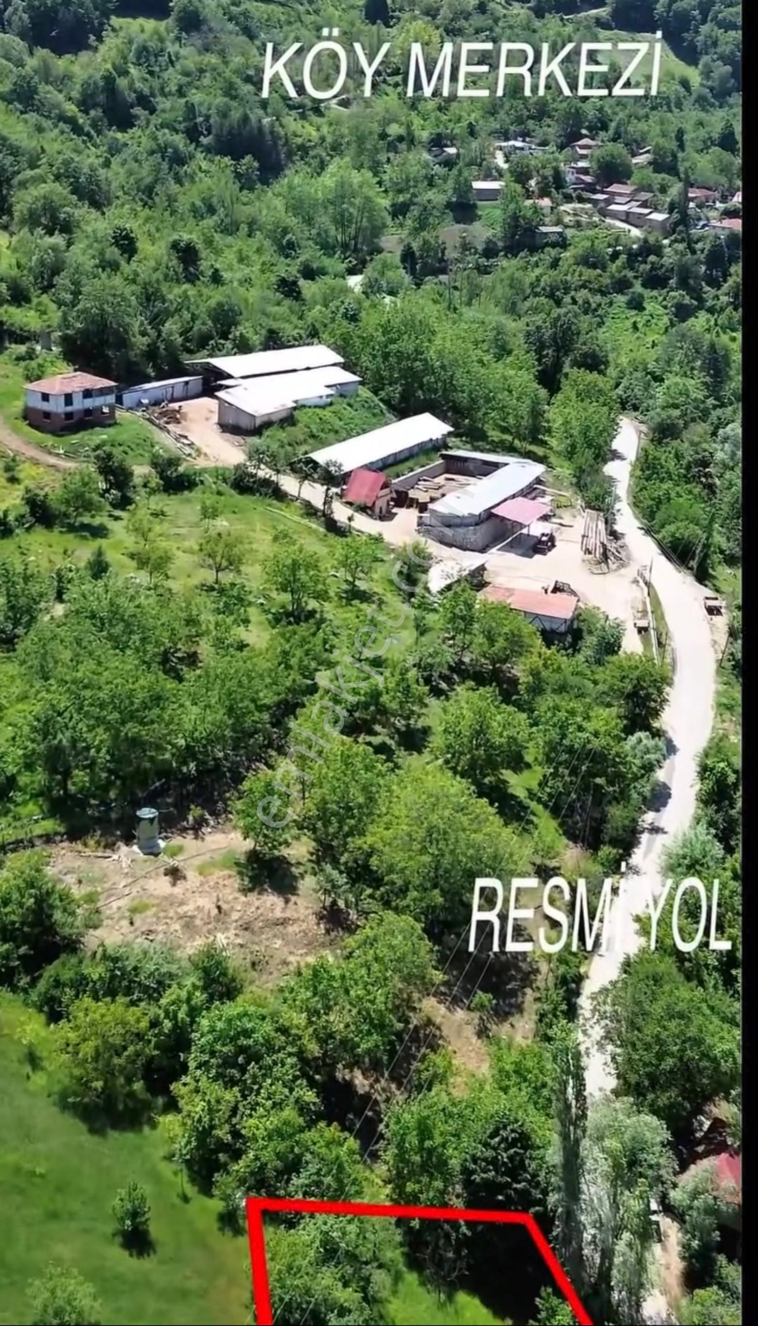 🏡 Sakarya / Geyve – Koru Mahallesi’nde 908 M2 Satılık Arsa - Görsel 3