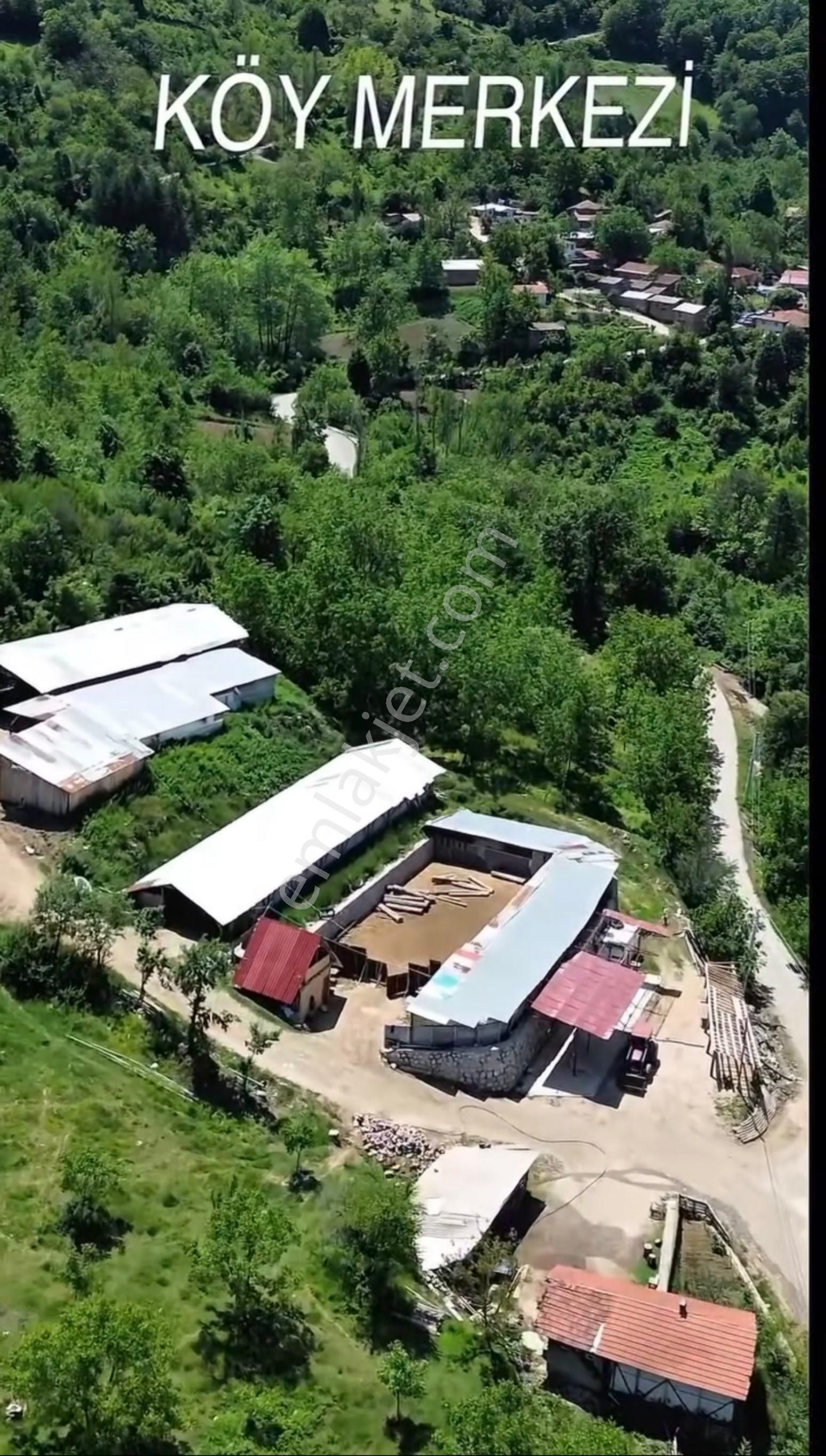 🏡 Sakarya / Geyve – Koru Mahallesi’nde 908 M2 Satılık Arsa - Görsel 4