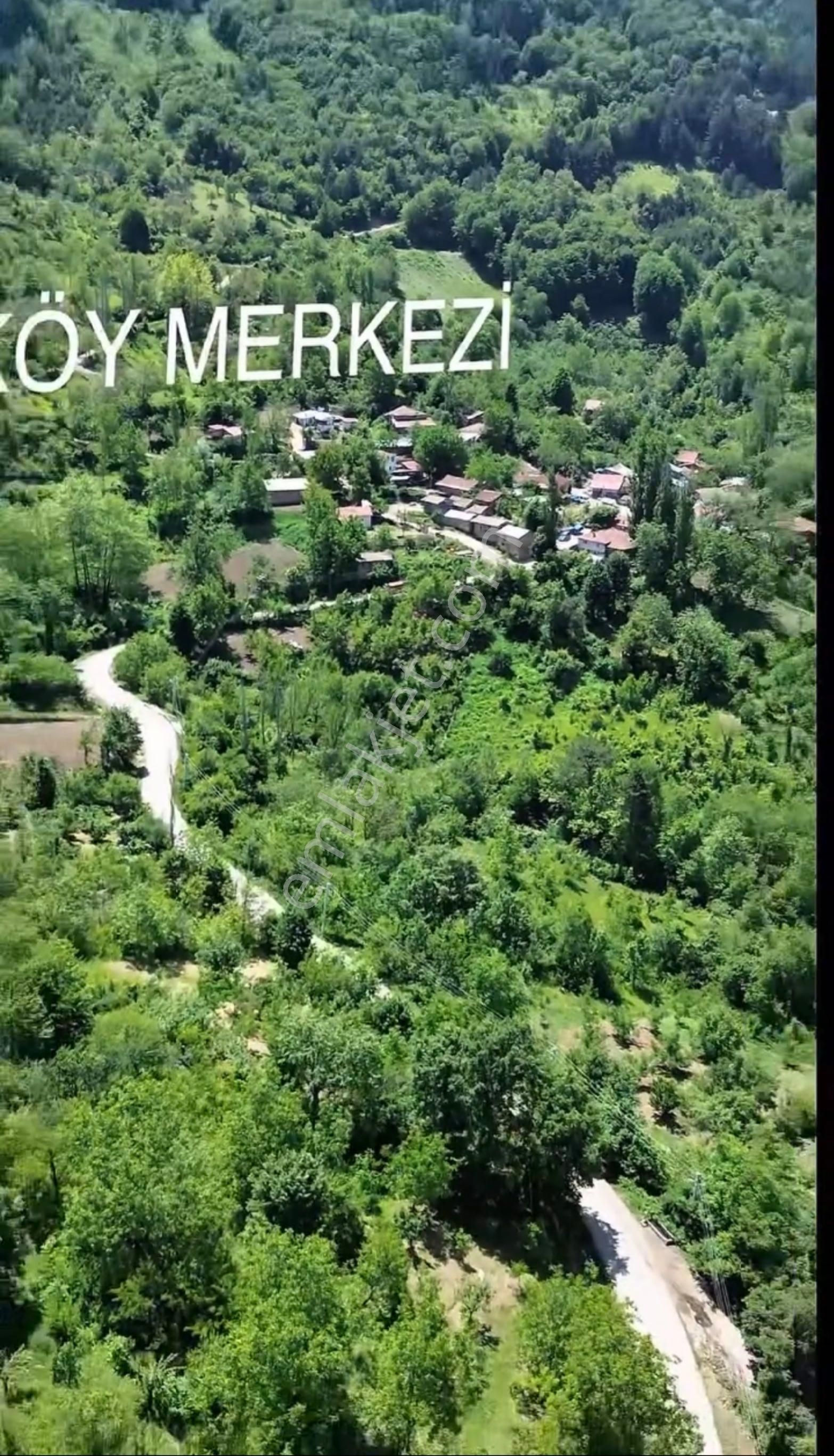 🏡 Sakarya / Geyve – Koru Mahallesi’nde 908 M2 Satılık Arsa - Görsel 5