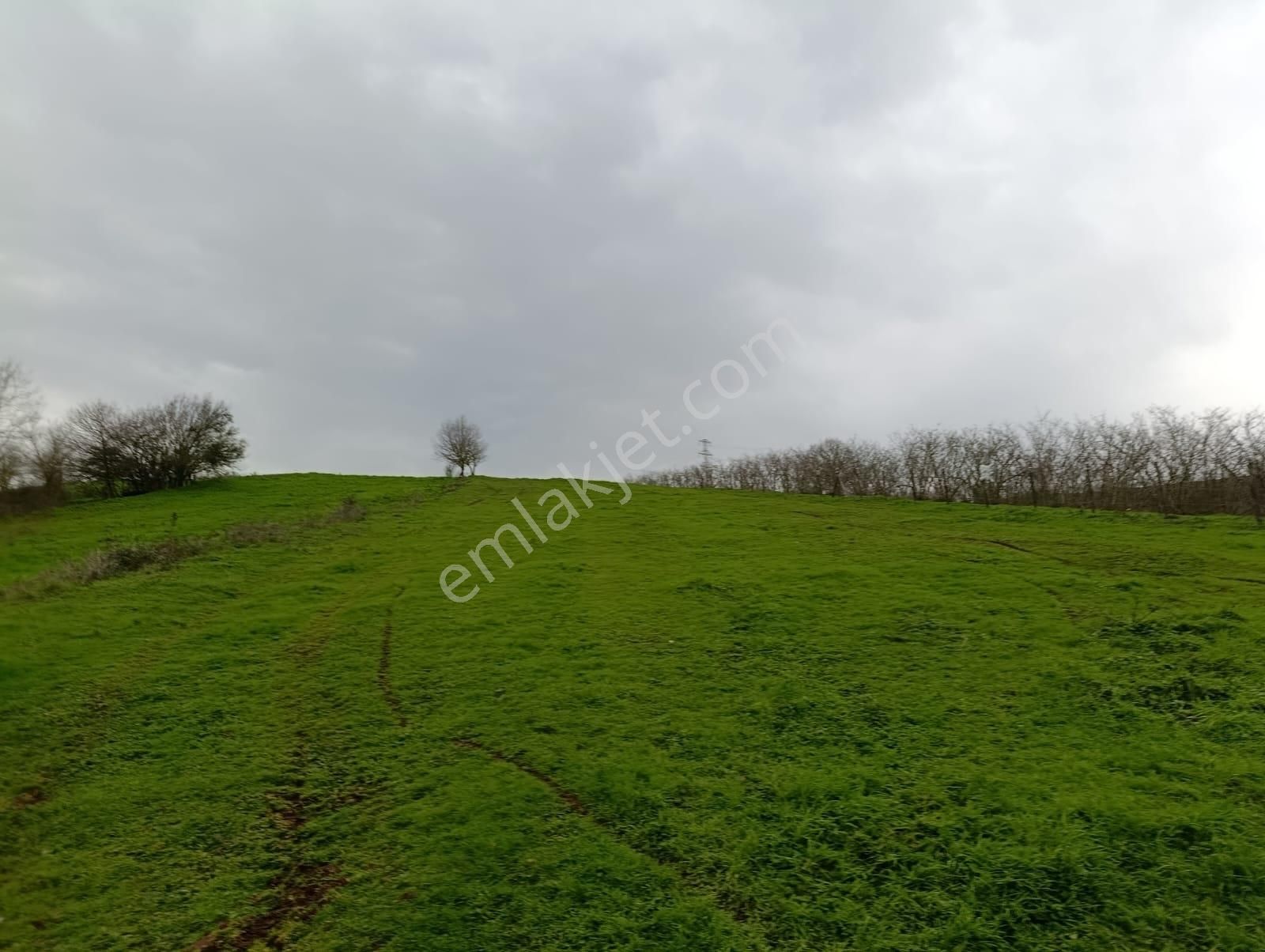 Adapazarı Göktepe'de Merkeze Yakın, Doğa İle İç İçe Fırsat! - Görsel 7
