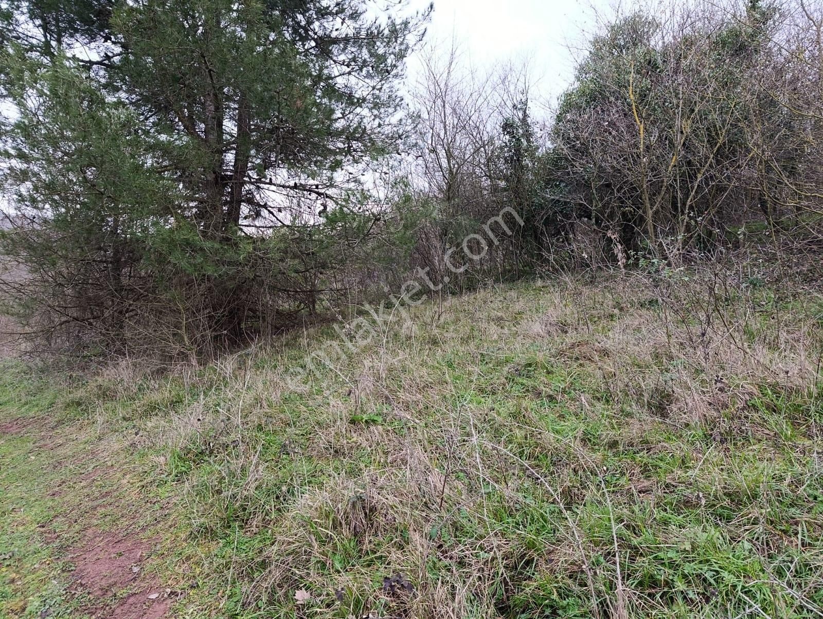 Adapazarı Göktepe'de Merkeze Yakın, Doğa İle İç İçe Fırsat! - Görsel 3