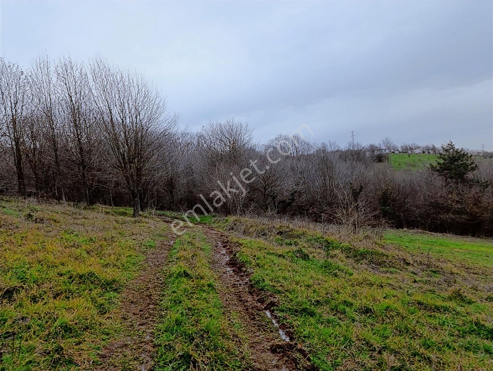 Adapazarı Göktepe'de Merkeze Yakın, Doğa İle İç İçe Fırsat! - Görsel 12