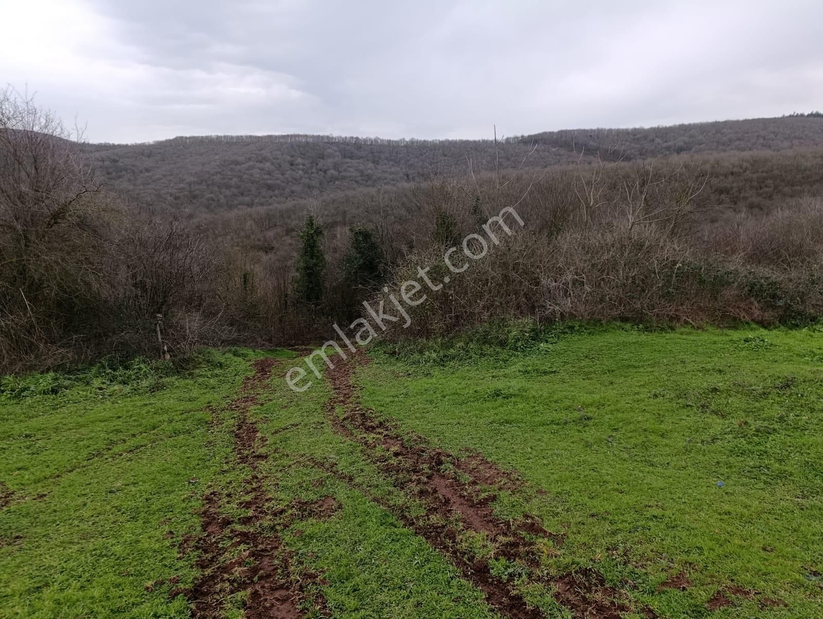 Adapazarı Göktepe'de Merkeze Yakın, Doğa İle İç İçe Fırsat! - Görsel 19
