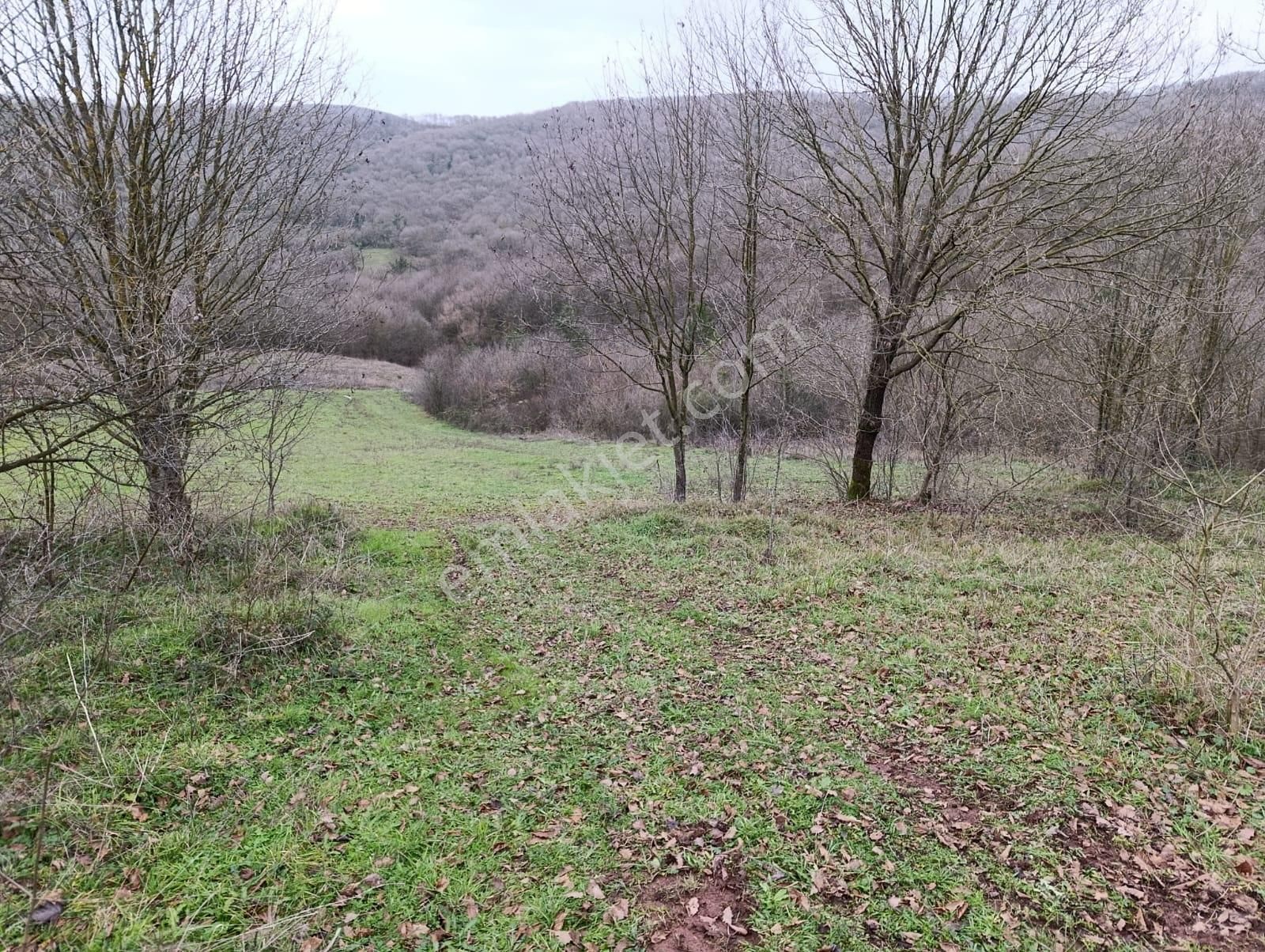 Adapazarı Göktepe'de Merkeze Yakın, Doğa İle İç İçe Fırsat! - Görsel 22