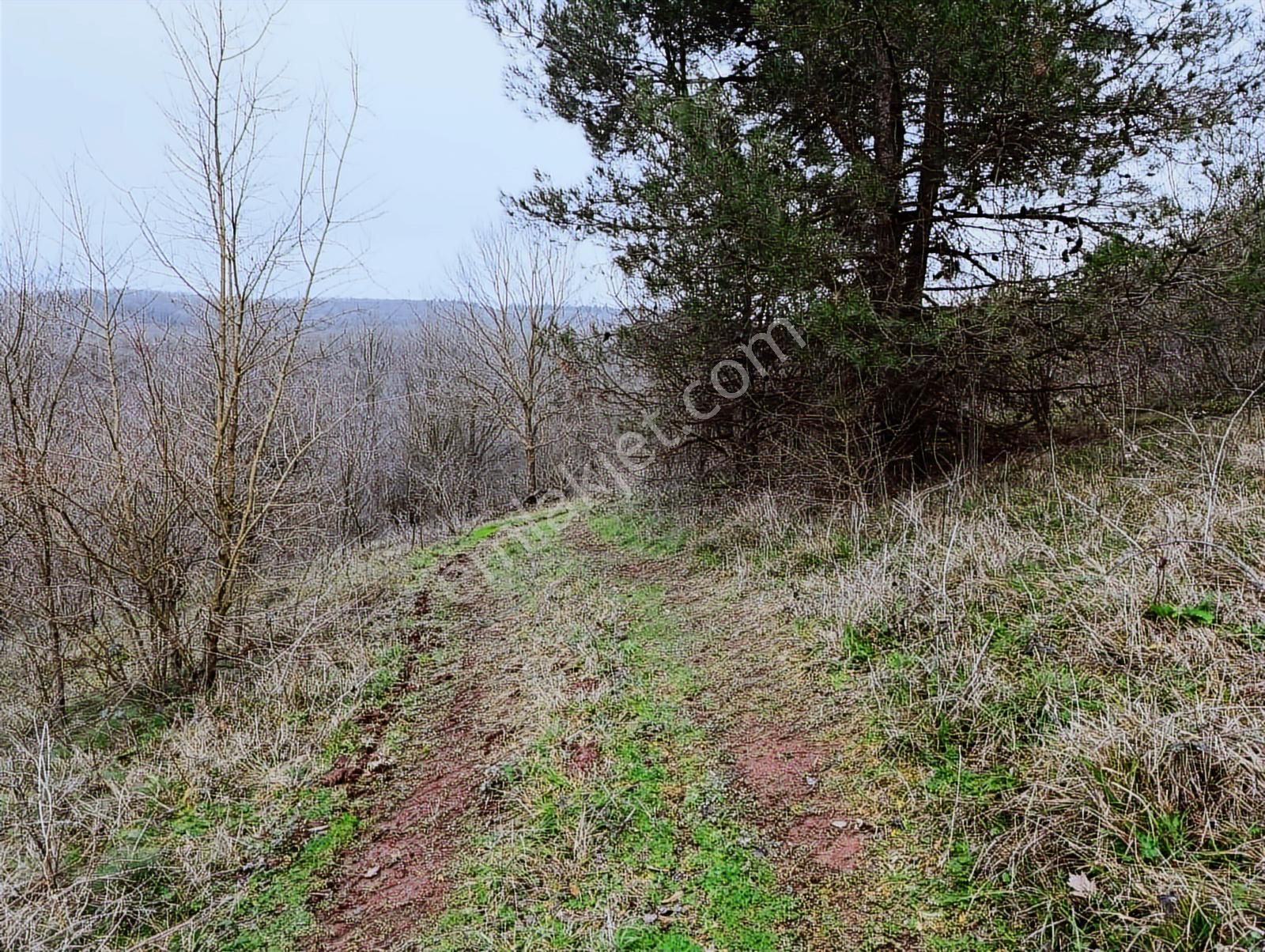 Adapazarı Göktepe'de Merkeze Yakın, Doğa İle İç İçe Fırsat! - Görsel 21