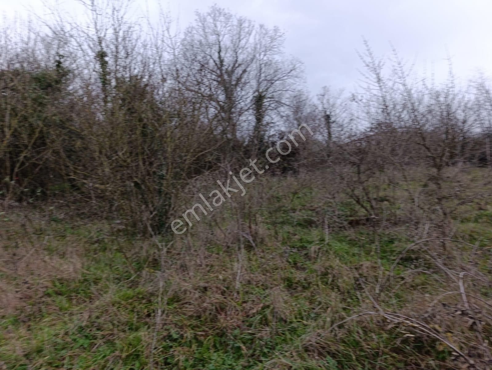 Adapazarı Göktepe'de Merkeze Yakın, Doğa İle İç İçe Fırsat! - Görsel 6