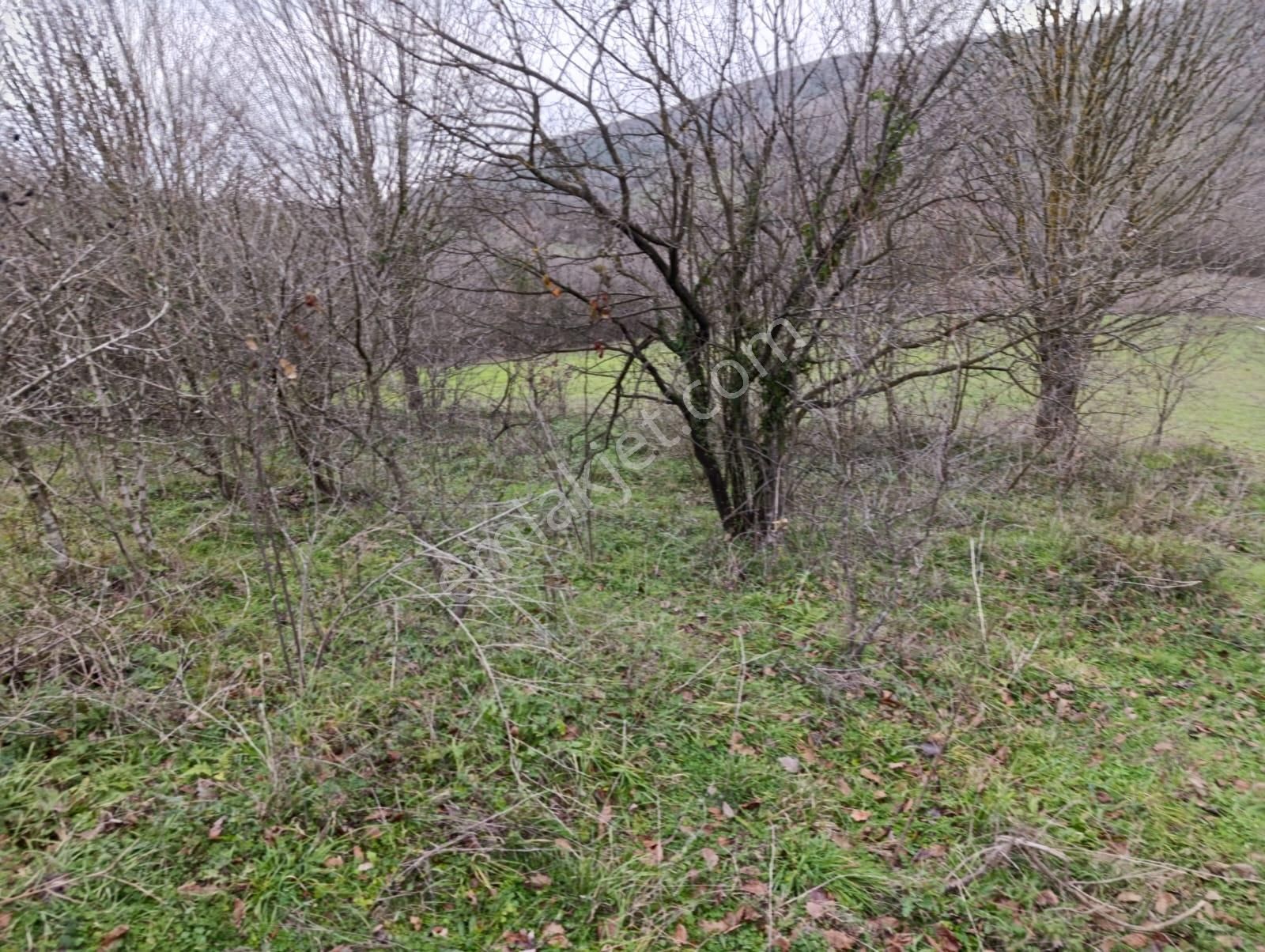 Adapazarı Göktepe'de Merkeze Yakın, Doğa İle İç İçe Fırsat! - Görsel 13