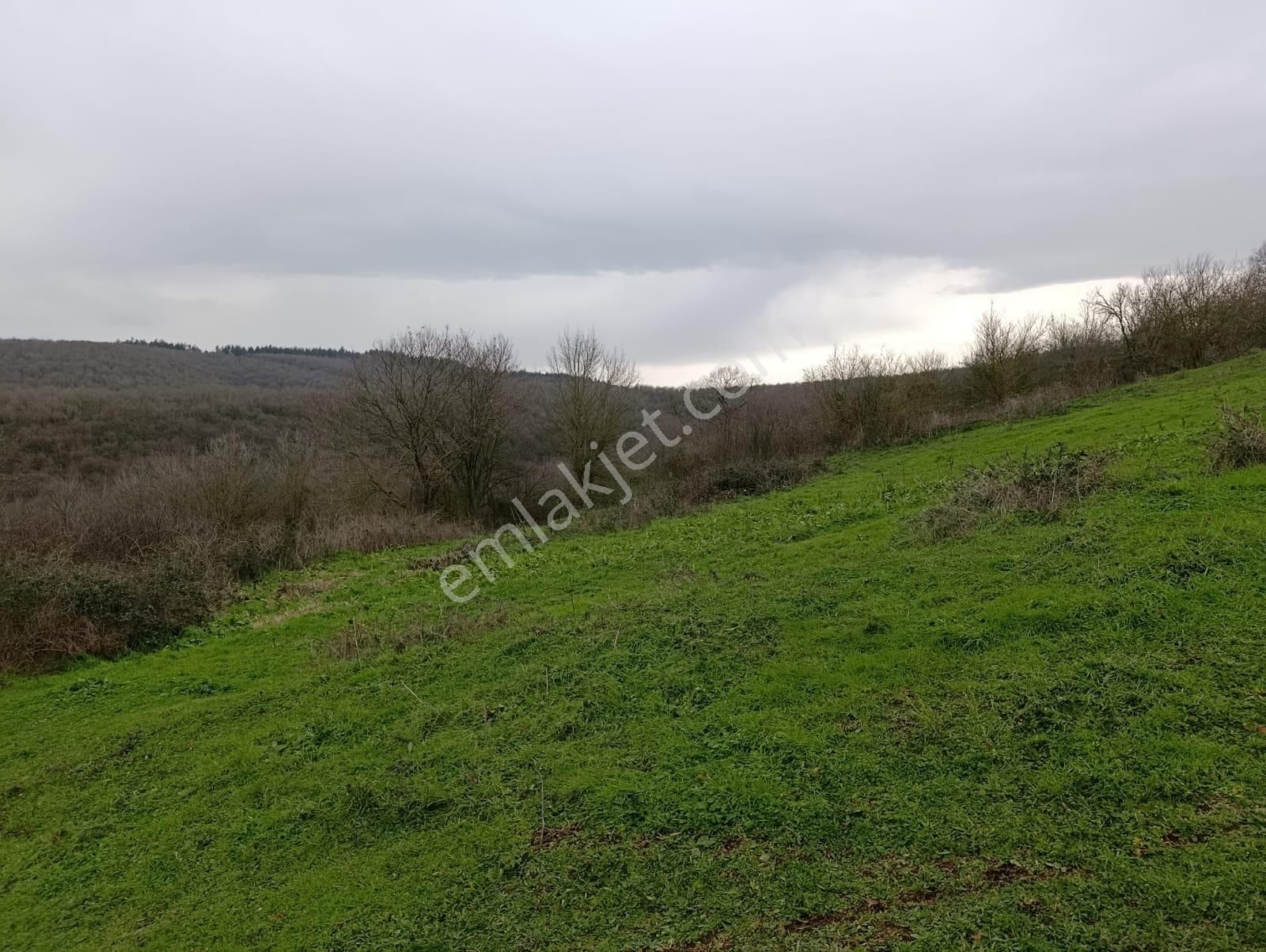 Adapazarı Göktepe'de Merkeze Yakın, Doğa İle İç İçe Fırsat! - Görsel 20