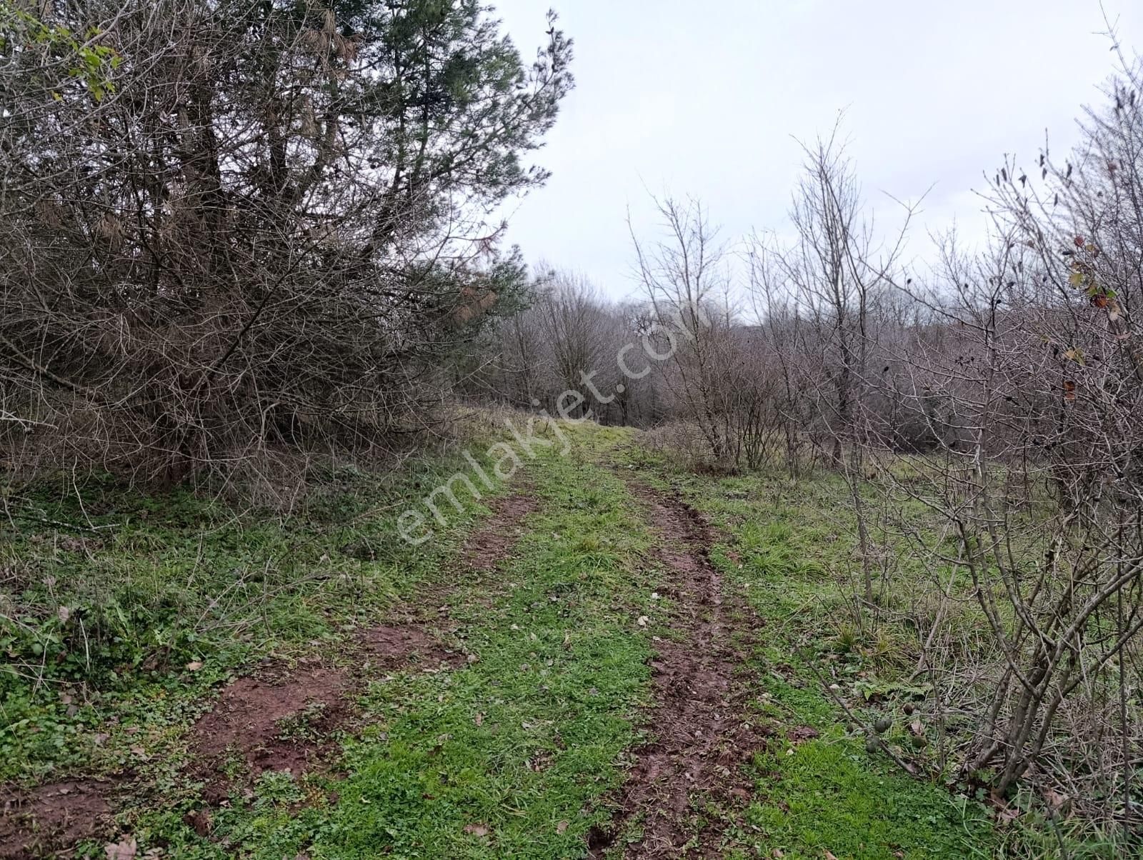 Adapazarı Göktepe'de Merkeze Yakın, Doğa İle İç İçe Fırsat! - Görsel 10