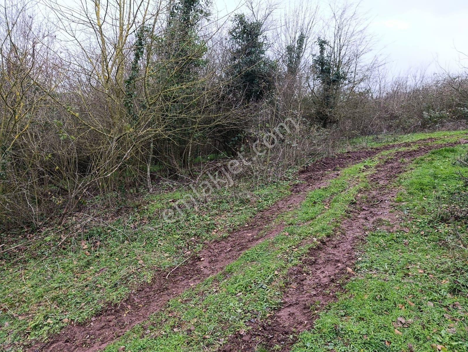 Adapazarı Göktepe'de Merkeze Yakın, Doğa İle İç İçe Fırsat! - Görsel 9