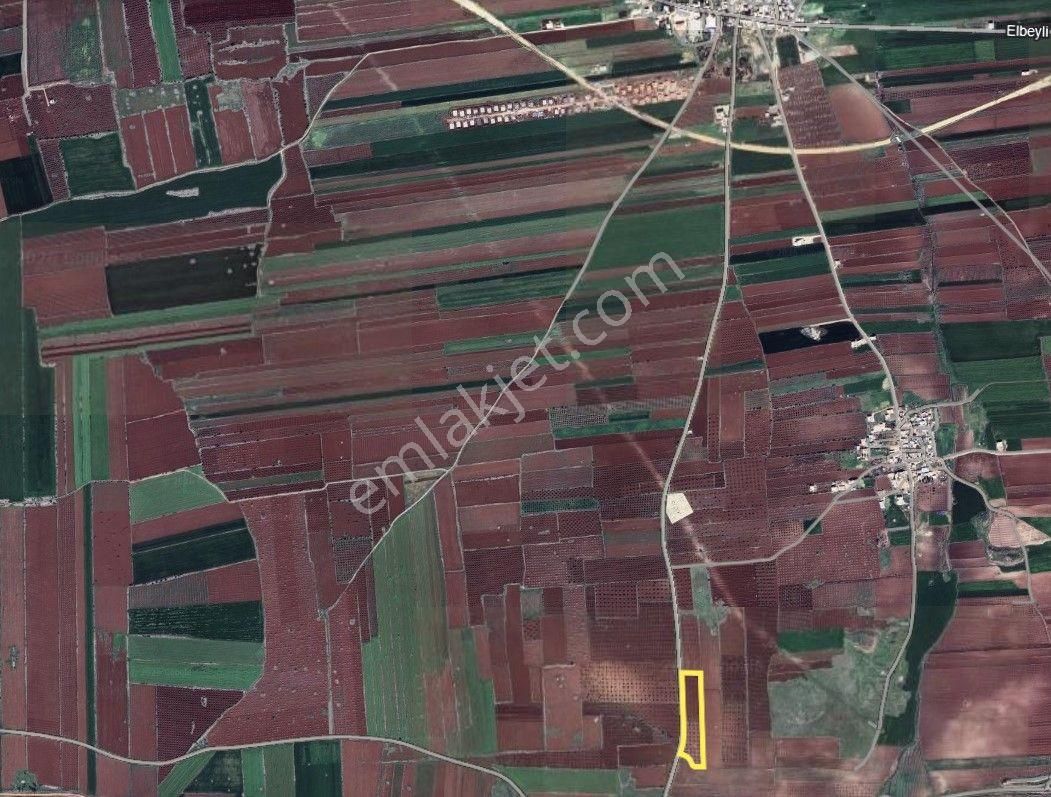 Babil Emlaktan Satlık Yavuzluda Asfat Üzeri 17.5 Dönüm Yetişkin Zeytinlik - Görsel 8