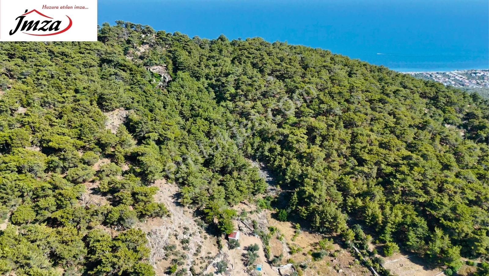 Çanakkale Ayvacık Adatepe Köy'e 500 Metre 4.904 M² Satılık Tarla - Görsel 3