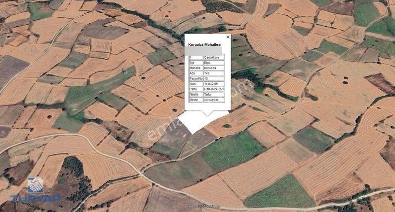 Çanakkale Biga Koruba Köyü 11.842 M2 Yatırımlık Tarla - Görsel 6