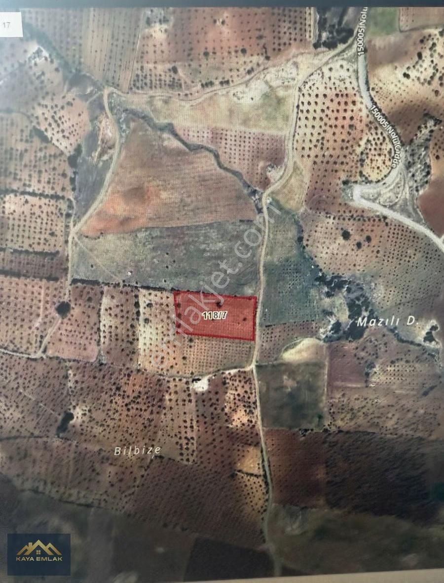 Satılık Yatırımlık Arazi Tiyekli Köyü / Şahinbey / Gaziantep - Görsel 5