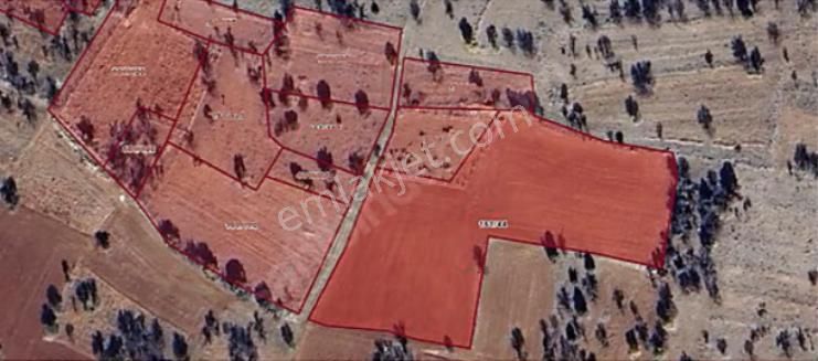 6898 Metre Bağ Tapulu Elektrik Su Yakın Resmi Yolu Olan Hesaplı Bağ - Görsel 1