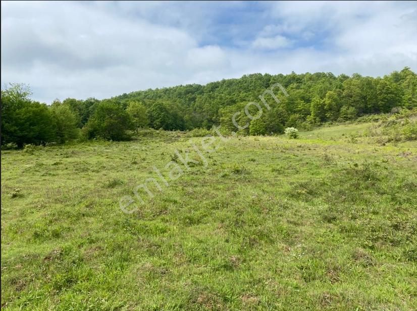 Gebze Tepemanayır Mah. Satılık 1583 M2 Tarla