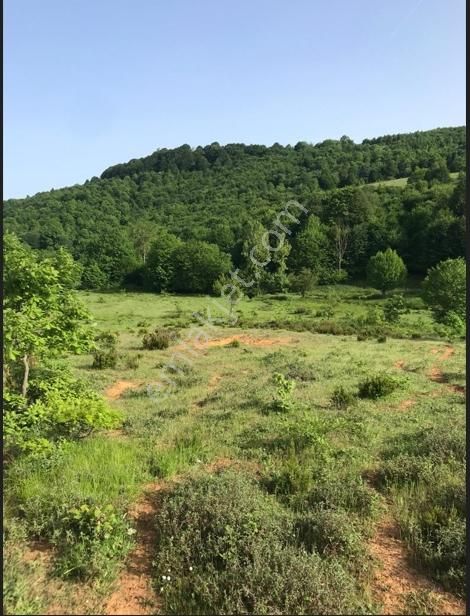 Gebze Tepemanayır Mah. Satılık 1583 M2 Tarla - Görsel 7