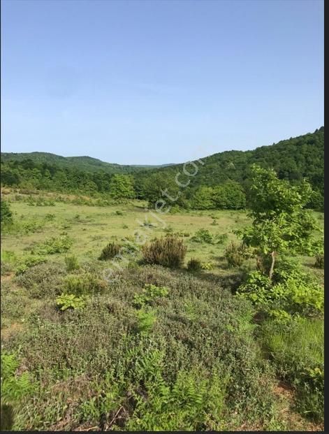 Gebze Tepemanayır Mah. Satılık 1583 M2 Tarla - Görsel 6